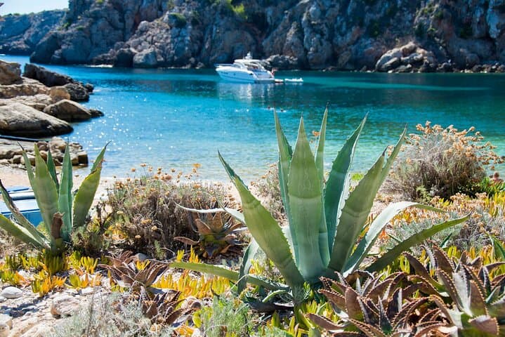 Graffiti and Snorkeling at Cala Conta — Ibiza Beach Art & Snorkel Experience photo 2