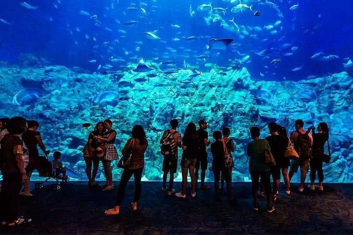 Hurghada Grand Aquarium Skip-the-Line Tickets — Red Sea Marine Life Experience photo 2