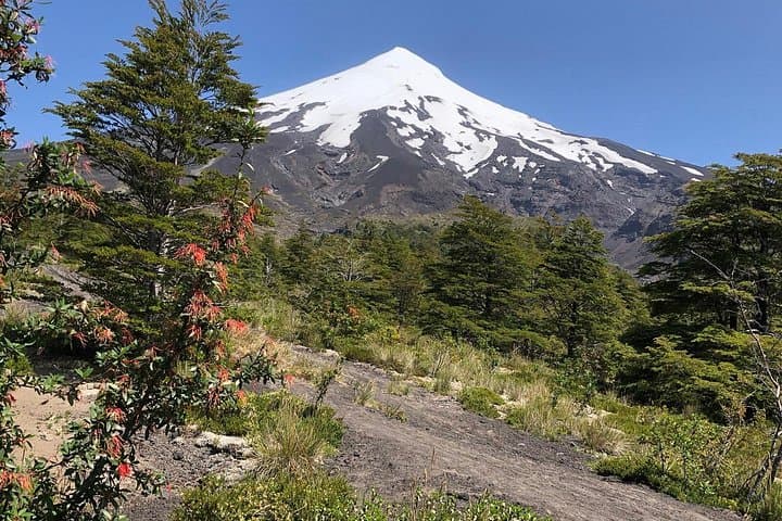 Full-Day Puerto Varas: Petrohué Falls, Osorno Volcano & Cochamó Panorama