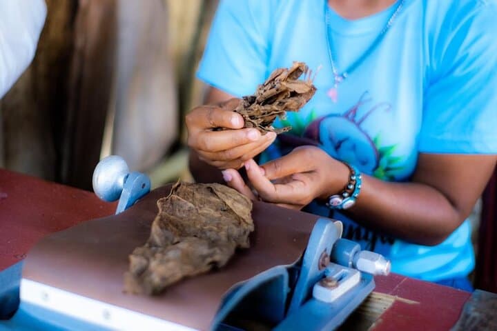 Puerto Plata 3-Hour Buggy Adventure: Beaches, Plantations & Local Culture photo 6