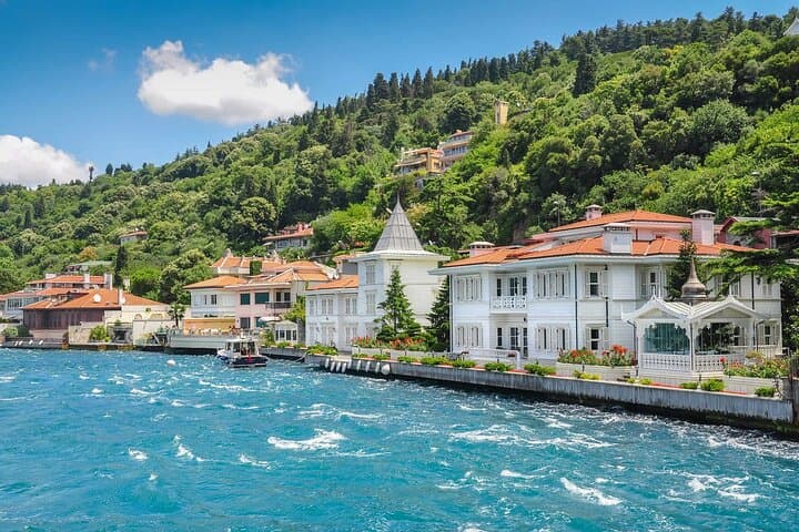 Full-Day Princes' Islands Tour from Istanbul: Ferry, Forests & Ottoman Mansions photo 3