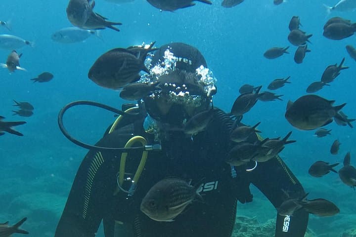 Dive The Rock: Try Scuba Diving in Protaras – Swim with Turtles at Green Bay
