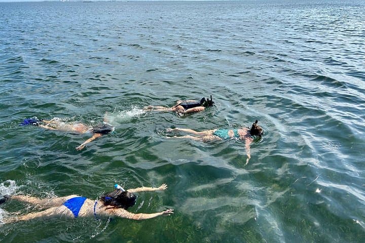 3-Hour Snorkeling Excursion South Padre Island: Boat Snorkel & Onboard Lunch