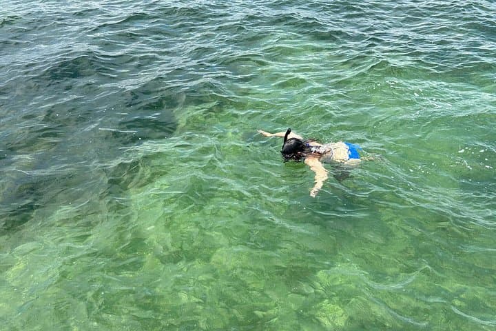3-Hour Snorkeling Excursion South Padre Island: Boat Snorkel & Onboard Lunch photo 3
