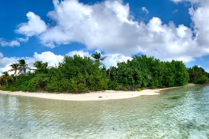 Private 3-Day Sailing & Snorkeling to Anegada, BVI — Wellness Charter photo 5