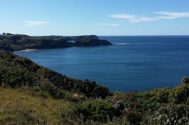 Chiloé Day Tour: Ancud and Puñihuil Penguin Viewing (Private) photo 4
