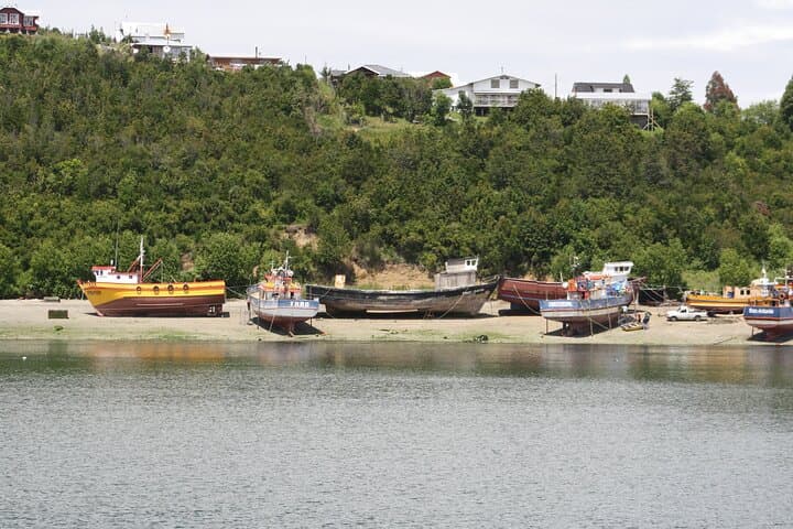 Chiloé Day Tour: Ancud and Puñihuil Penguin Viewing (Private) photo 5