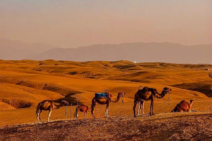 Agafay Desert & Atlas Mountains Day Trip from Marrakech — Camel Ride and Waterfalls photo 4