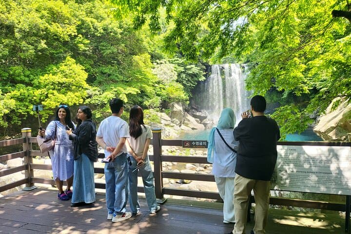 Private Tour to Cheonjeyeon Falls & O'sulloc Tea Plantation — Jeju Island Day Trip photo 3
