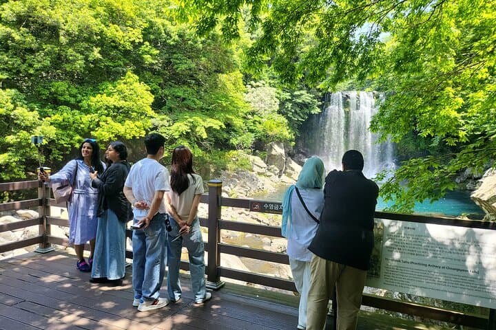Private Tour to Cheonjeyeon Falls & O'sulloc Tea Plantation — Jeju Island Day Trip photo 4