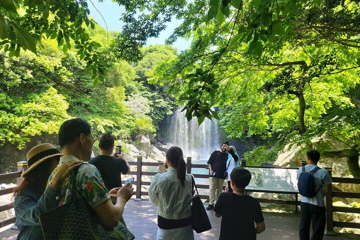 Private Tour to Cheonjeyeon Falls & O'sulloc Tea Plantation — Jeju Island Day Trip photo 5