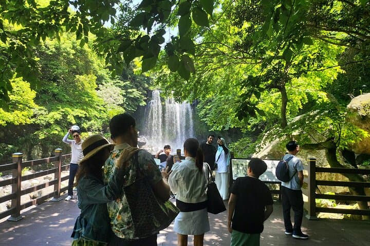 Private Tour to Cheonjeyeon Falls & O'sulloc Tea Plantation — Jeju Island Day Trip photo 6