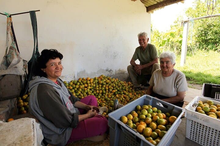 Hidden Route Day Tour from Quito: Rural Villages, Farm Harvests & Scenic Viewpoints photo 4