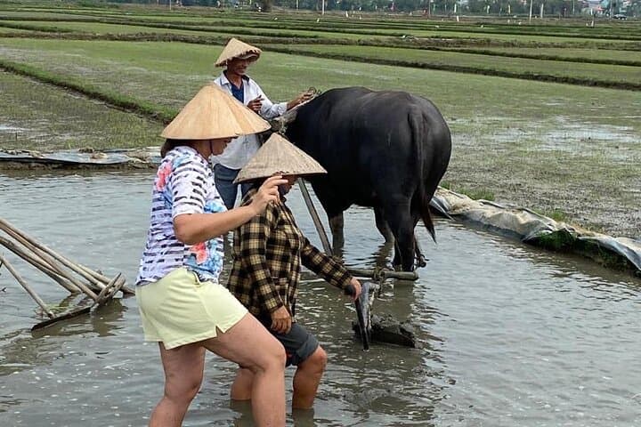Cycling the Sunset Countryside of Hoi An: Buffalo Rides, Basket Boats & Home Cooking photo 4