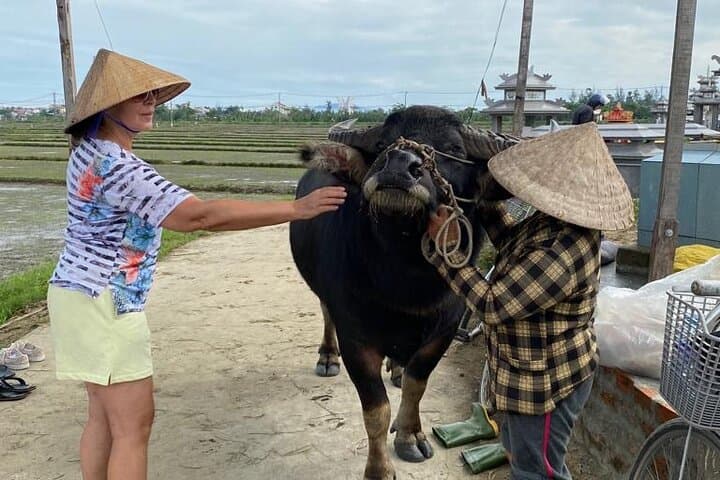 Cycling the Sunset Countryside of Hoi An: Buffalo Rides, Basket Boats & Home Cooking photo 5