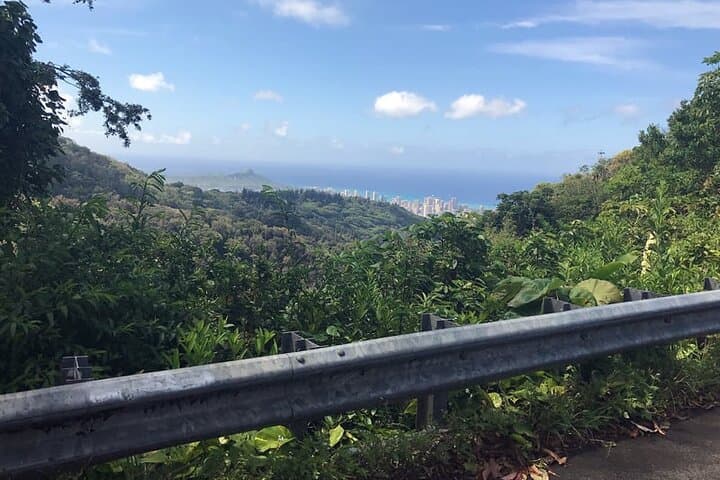Private Honolulu Jungle Hike: Manoa Falls or Kalawahine Trail (2–4 hrs)