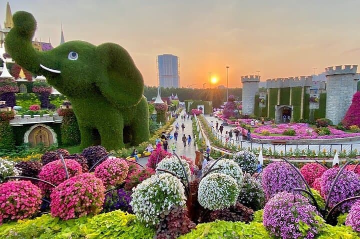 Skip-the-Line Dubai Miracle Garden Tickets with Private Transfer