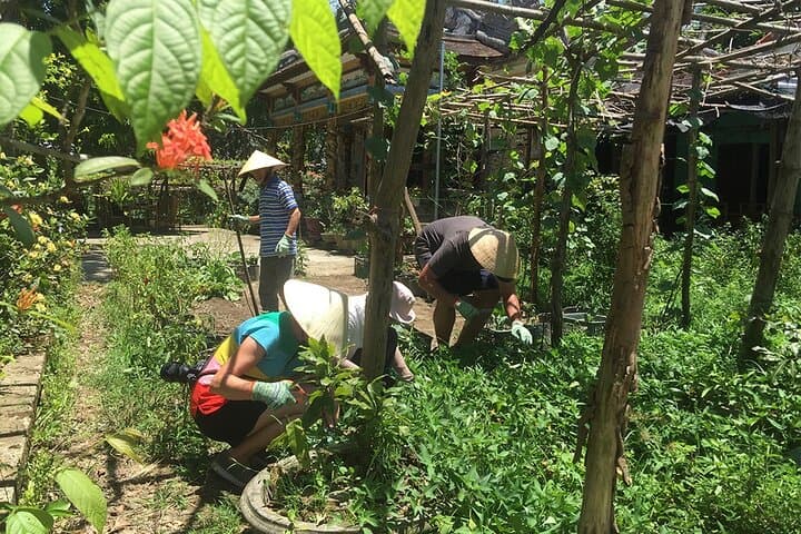 Rural Hue Cycling & Farming Day — Thanh Toan Village Immersion photo 3