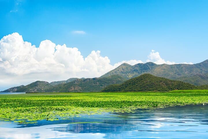 Skadar Lake Wine & Gastro Boat Tour — Private 7-Hour Experience from Kotor photo 3