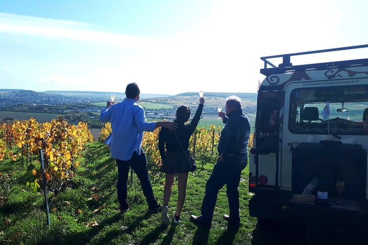 Montagne de Reims champagne tasting and panoramic vineyard walk photo 3
