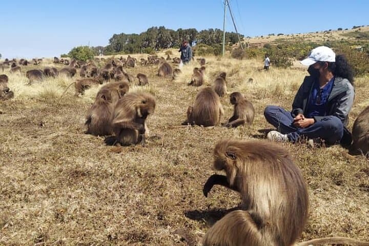 6-Day Trekking Simien Mountains: Ras Dashen Summit & High-Plateau Camps photo 3