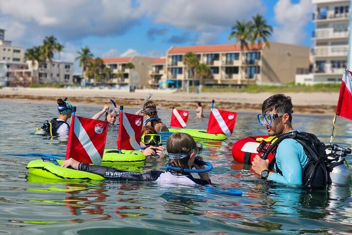 Nemo Guided Tour: Shallow Reef Snorkel in Lauderdale-by-the-Sea photo 6