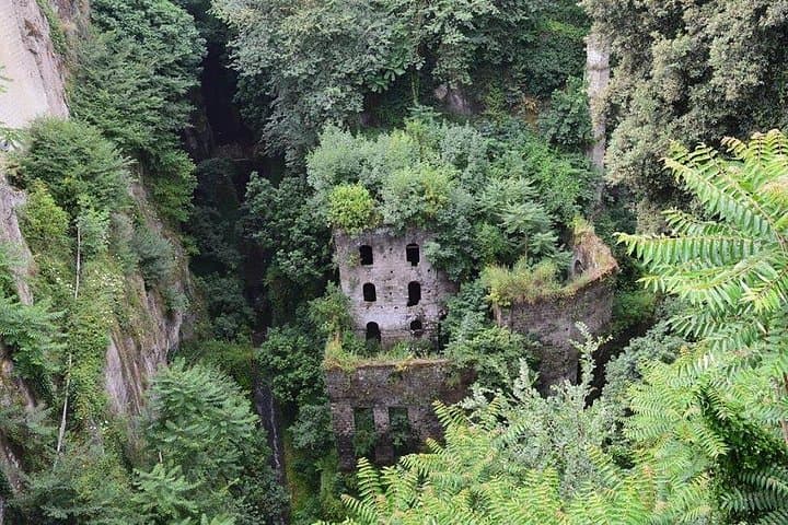 Sorrento Walking Tour & Limoncello Tasting — Historic Center, Vallone dei Mulini & Lemon Garden photo 2