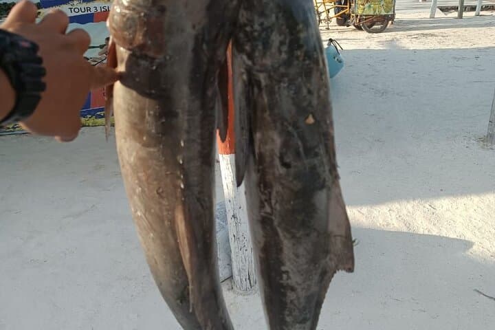 Holbox Full-Day Deep-Sea Fishing: Private Big-Game Charter & Ceviche photo 6