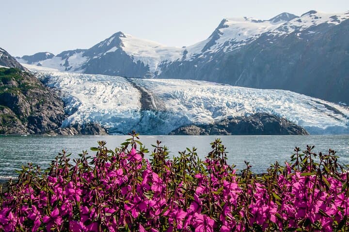 Seward to Anchorage Cruise Transfer & Wildlife Tour: Scenic Drive and Wildlife Encounters in Alaska photo 6
