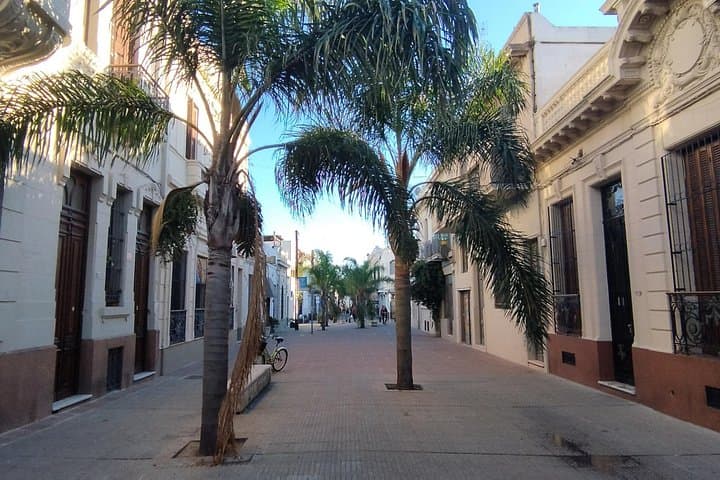 Explore Montevideo in a Day: Private Full-Day City Tour and Coastal Drive photo 6