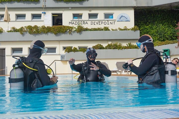 Beginner Scuba Diving in Funchal: Pool Lesson and Madeira Reef Dive photo 3