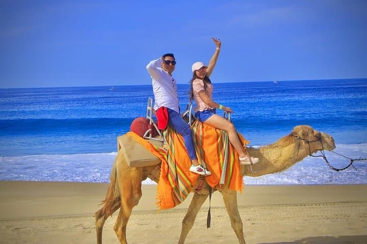 Pacific Coast Camel Ride in Cabo San Lucas: Coastal Camel Safari photo 2