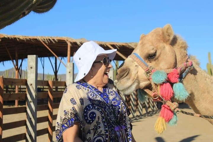 Pacific Coast Camel Ride in Cabo San Lucas: Coastal Camel Safari photo 5