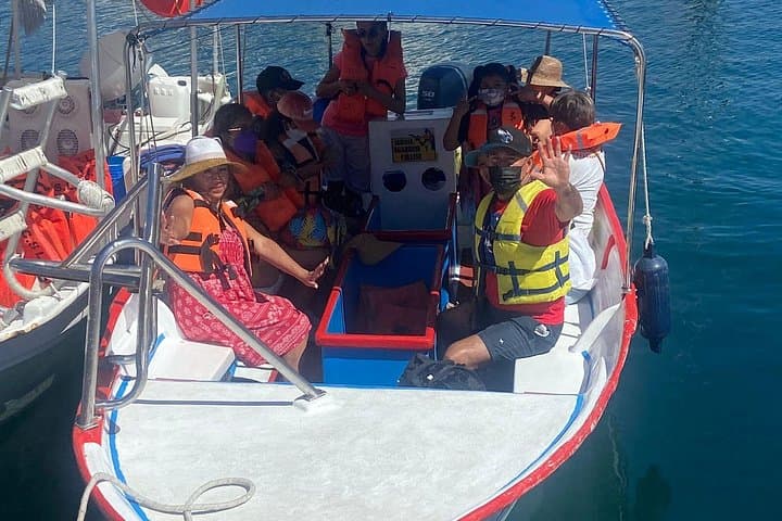 Cabo San Lucas Glass-Bottom Whale Watching: Morning Wildlife Cruise photo 1