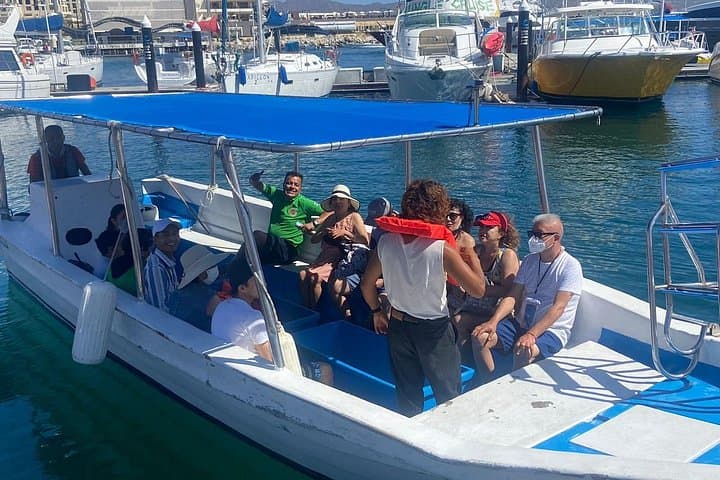 Cabo San Lucas Glass-Bottom Whale Watching: Morning Wildlife Cruise photo 2