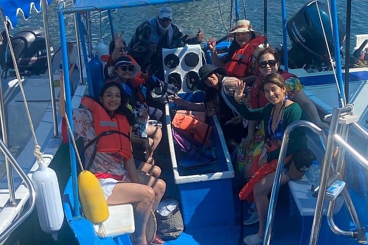 Cabo San Lucas Glass-Bottom Whale Watching: Morning Wildlife Cruise photo 3