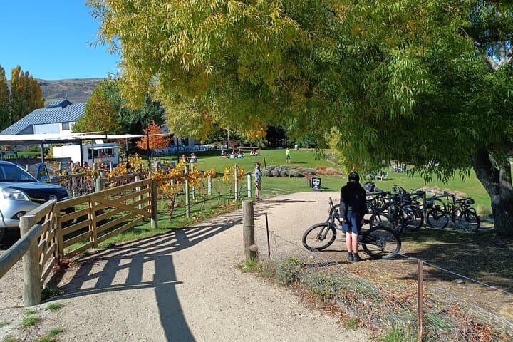 Lake Dunstan Cycleway: 42km Bike Hire with Dunstan Explorer Boat Return photo 2