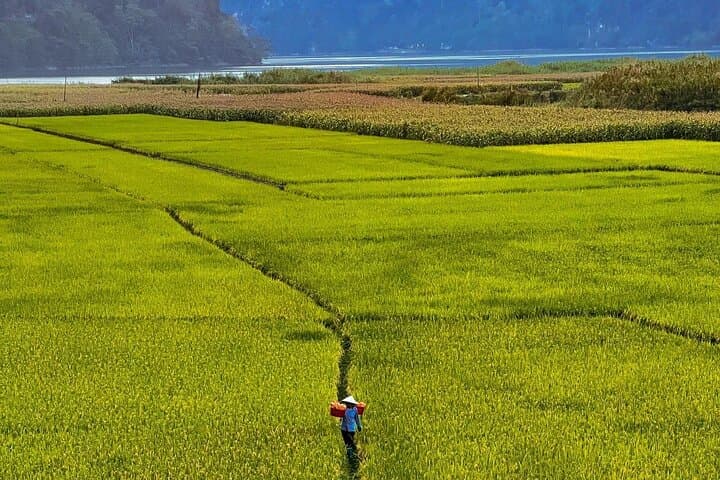 Ba Be Lake Two-Day Escape: Boat Trip, Caves & Tay Homestay photo 4