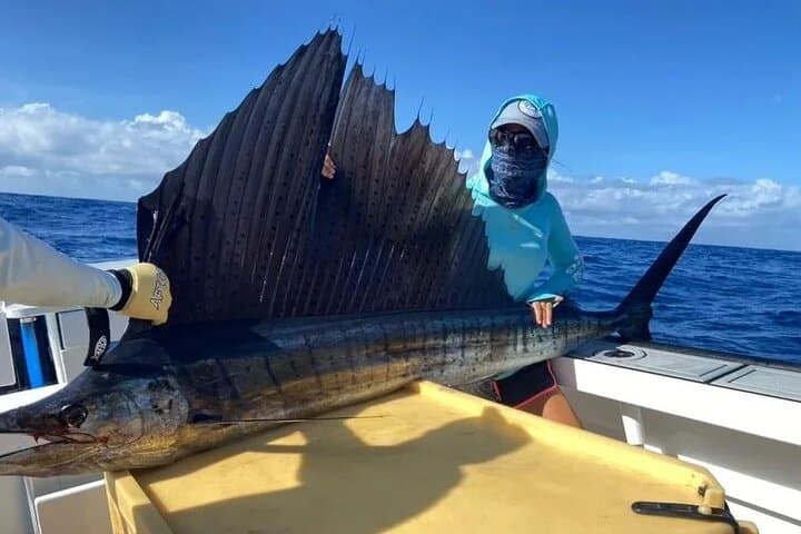 Seychelles Big-Game Fishing: Offshore Angling in the Indian Ocean