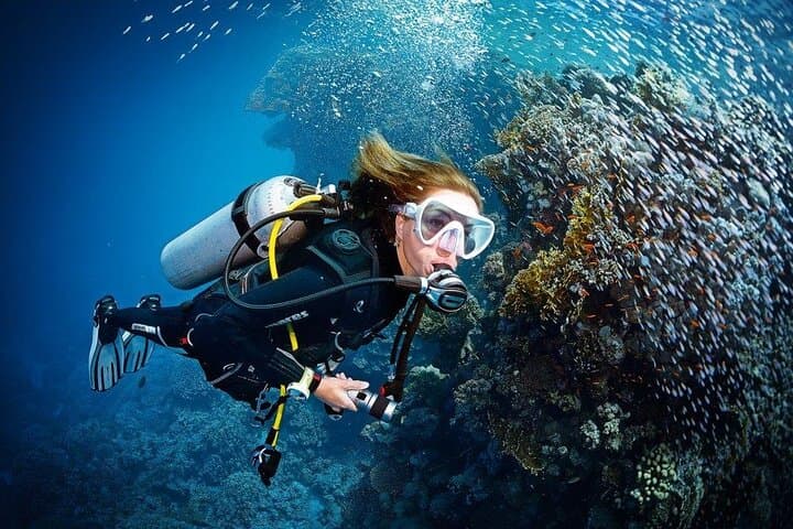 Try Scuba on Tioman: Beginner Guided Dive on Coral Reefs photo 3