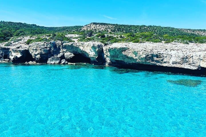 Blue Lagoon Akamas Boat Trip from Paphos — Swim, Shipwrecks & Aphrodite’s Bath photo 6