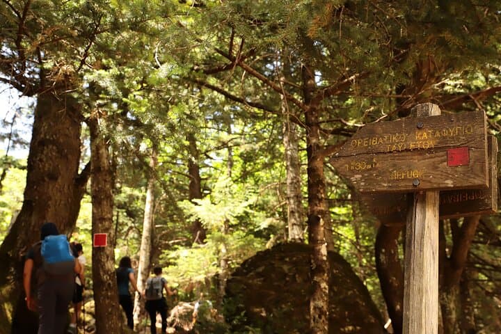 Hike Taygetos Peak: Full-Day Guided Trek from Athens to Profitis Ilias photo 3