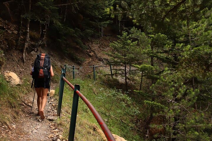 Hike Taygetos Peak: Full-Day Guided Trek from Athens to Profitis Ilias photo 4