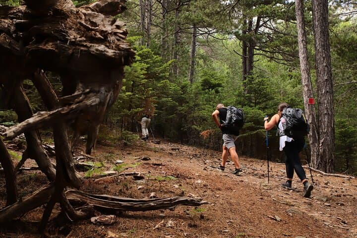 Hike Taygetos Peak: Full-Day Guided Trek from Athens to Profitis Ilias photo 6