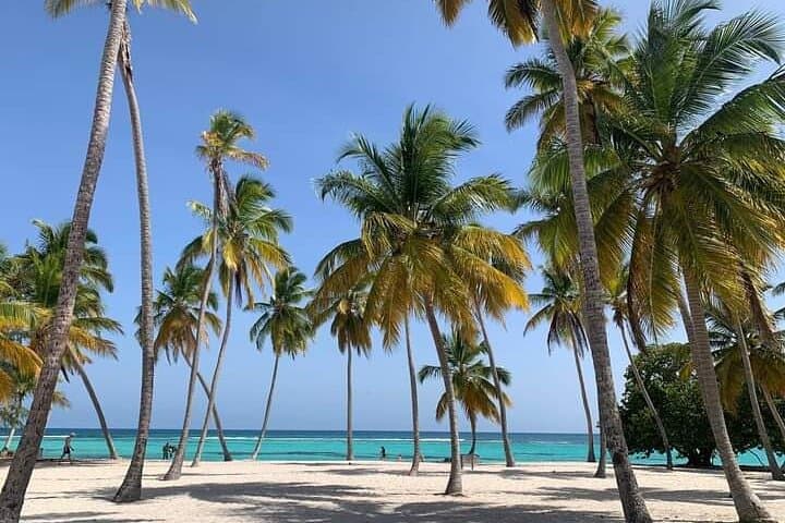 Saona Island Day Trip from Punta Cana: Natural Pool, Starfish & Beach Buffet photo 2