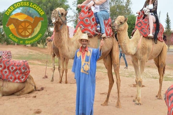 Agadir Camel Ride Experience: Eucalyptus Trails & Souss Estuary Views