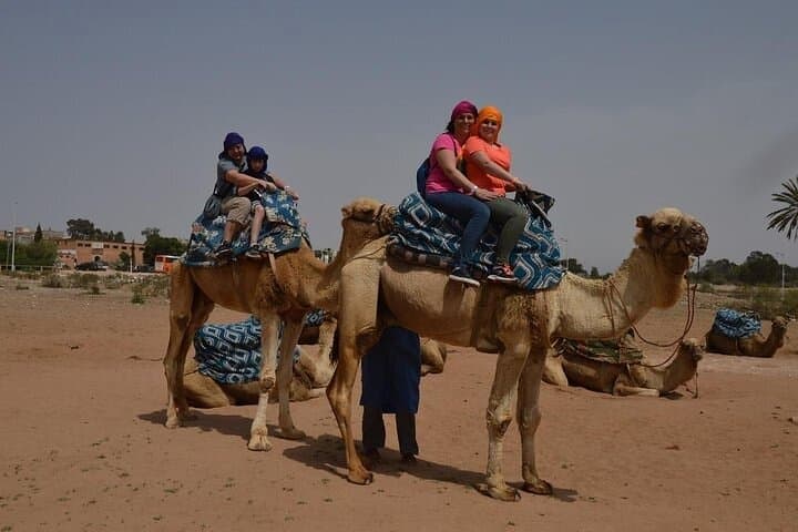 Agadir Camel Ride Experience: Eucalyptus Trails & Souss Estuary Views photo 2