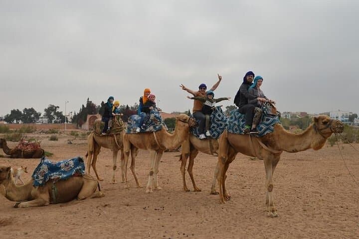 Agadir Camel Ride Experience: Eucalyptus Trails & Souss Estuary Views photo 3