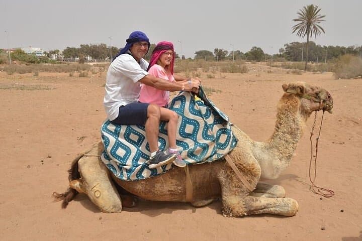 Agadir Camel Ride Experience: Eucalyptus Trails & Souss Estuary Views photo 4
