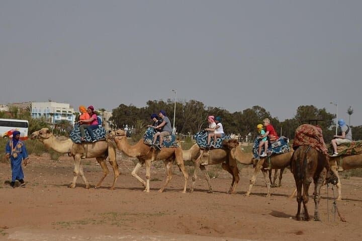 Agadir Camel Ride Experience: Eucalyptus Trails & Souss Estuary Views photo 6